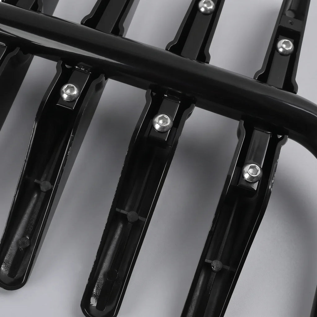 QuickMount Rear Luggage Rack